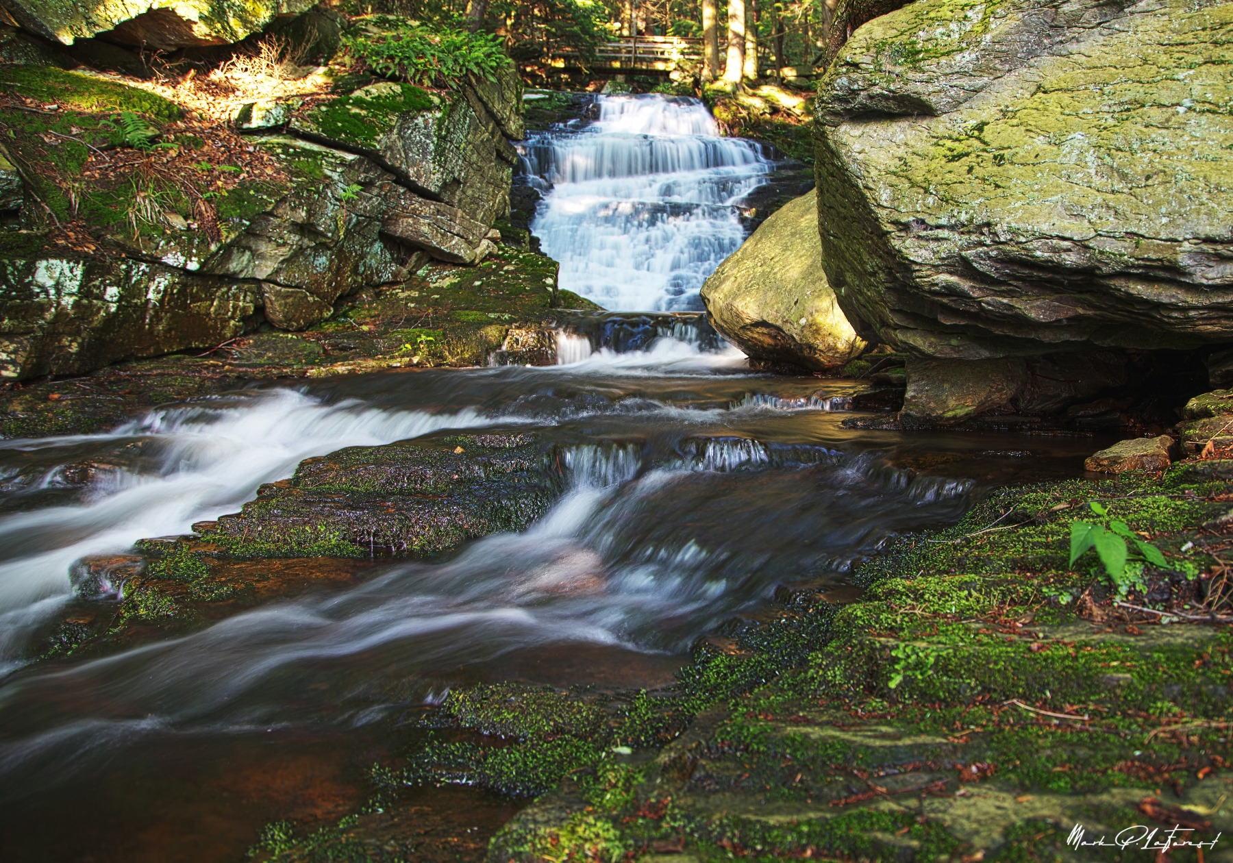 /gallery/north_america/USA/Vermont/middlebury/Abbey Pond Trail 2017-002_med.jpg